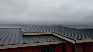 Best Roof Ventilation Installation  in Natalia, TX